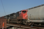 CN 8893